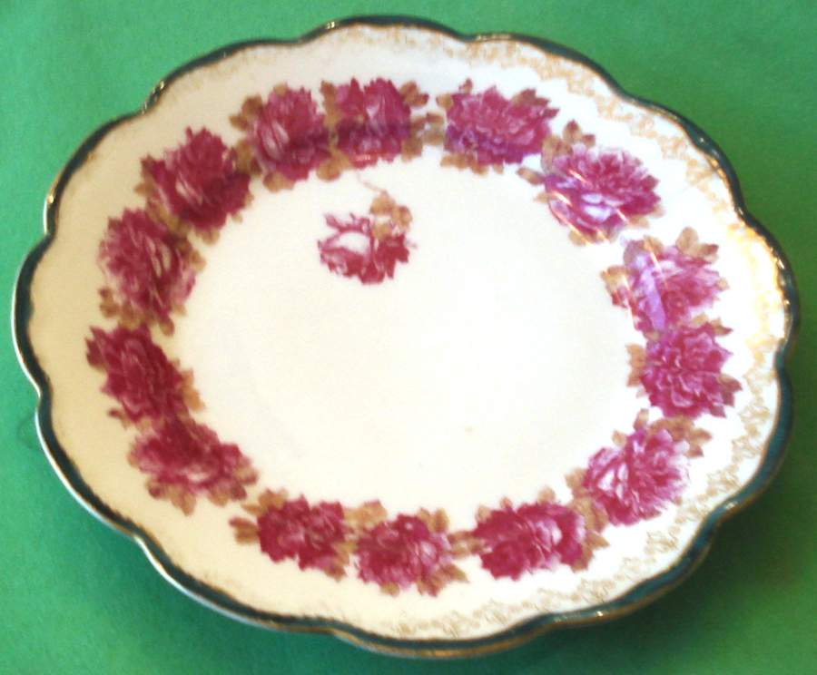 RZW1 Dinner Plate by Robert Hanke-1