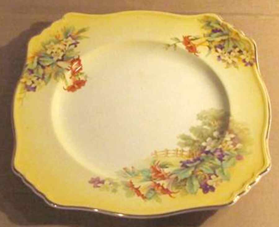 7717 Square Salad Plate by Royal Winton-1