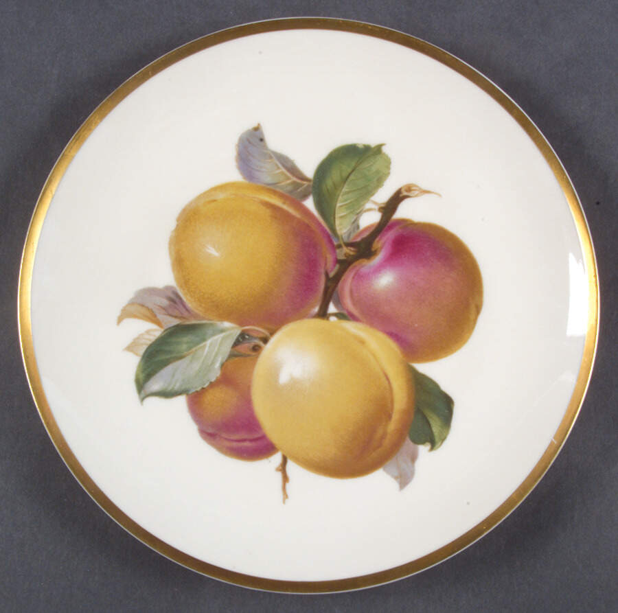 R1740 Salad Plate by Rosenthal - Continental-1