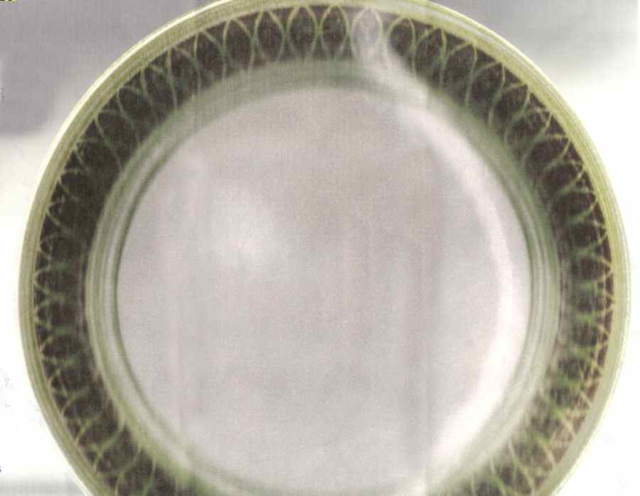 Granada Dinner Plate by Royal (USA)-1