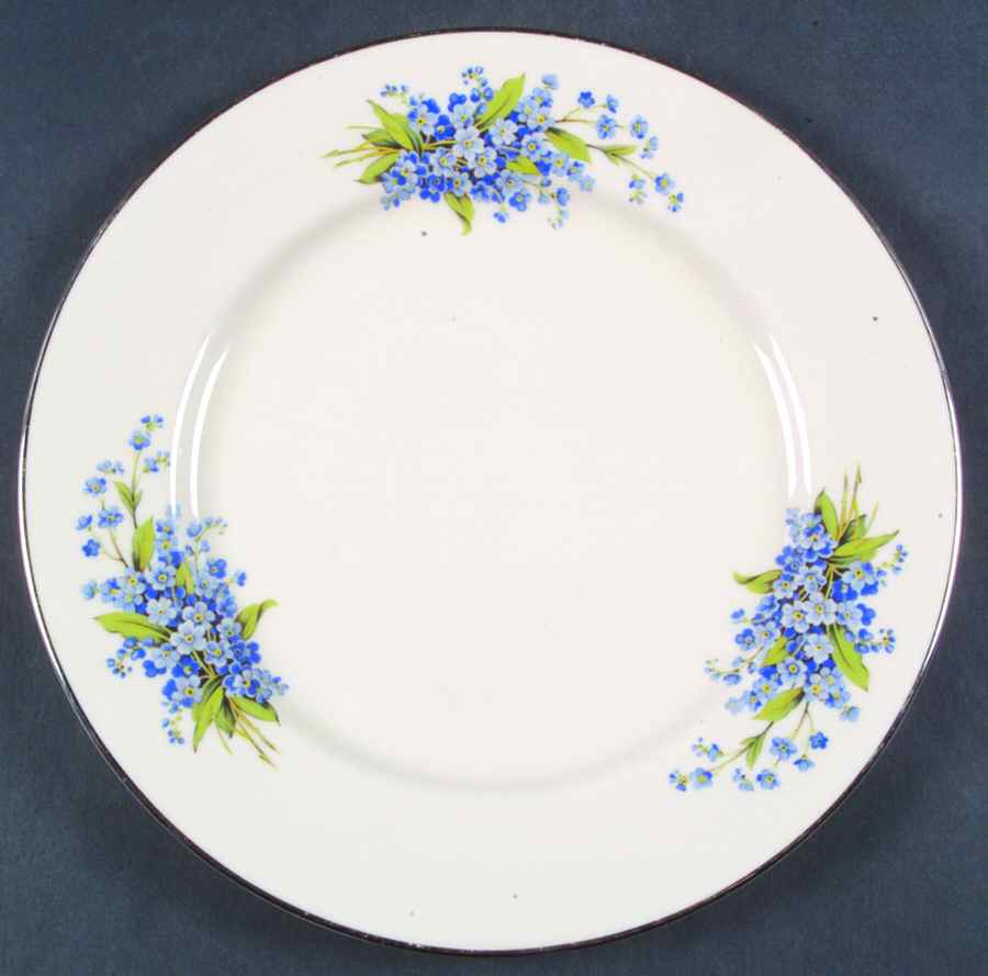 ROD15 Dinner Plate by Royal Devon-1