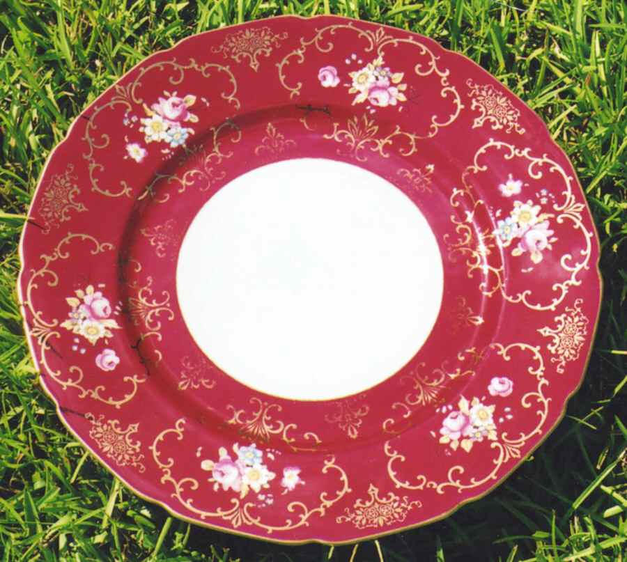 R1810 Dinner Plate by Rosenthal - Continental-1
