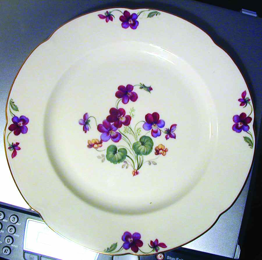 ROT258 Dinner Plate by Royal Tettau-1