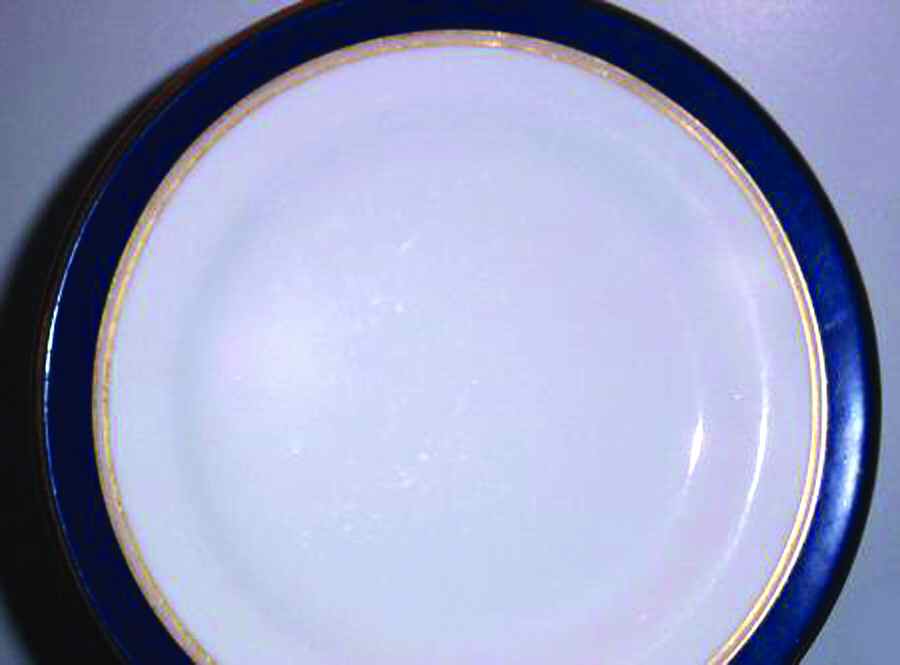RD270 Dinner Plate by Royal Doulton-1