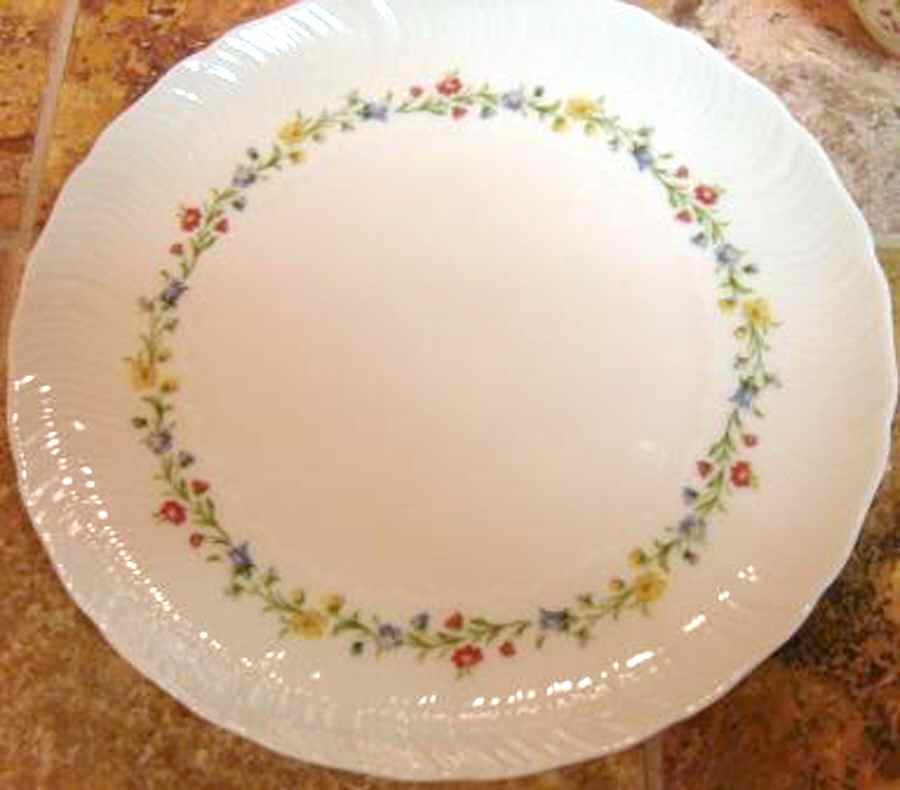 ROT259 Dinner Plate by Royal Tettau-1