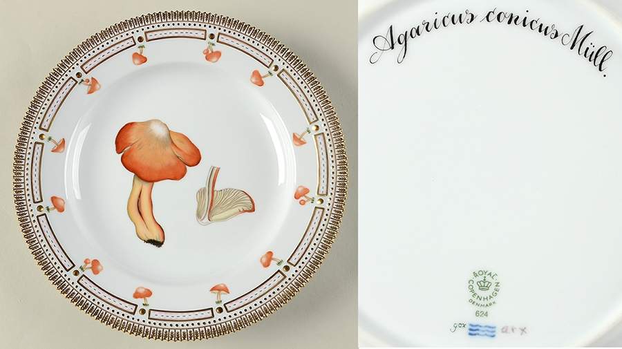 Flora Danica Fungi Collection Dinner Plate by Royal Copenhagen-1