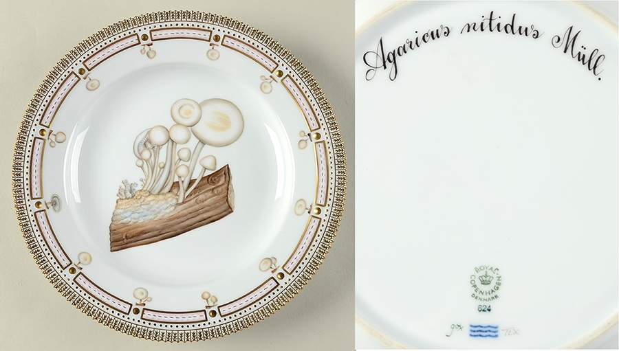 Flora Danica Fungi Collection Dinner Plate by Royal Copenhagen-1