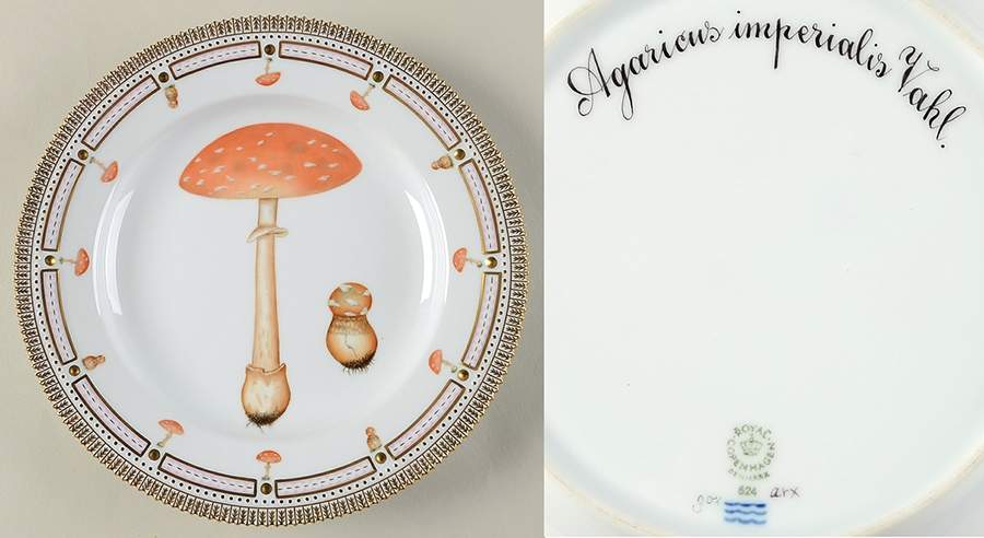 Flora Danica Fungi Collection Dinner Plate by Royal Copenhagen-1