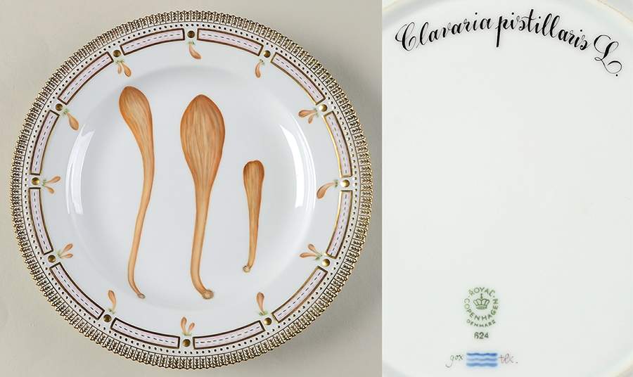 Flora Danica Fungi Collection Dinner Plate-Atropa Belladona L by Royal Copenhagen-1