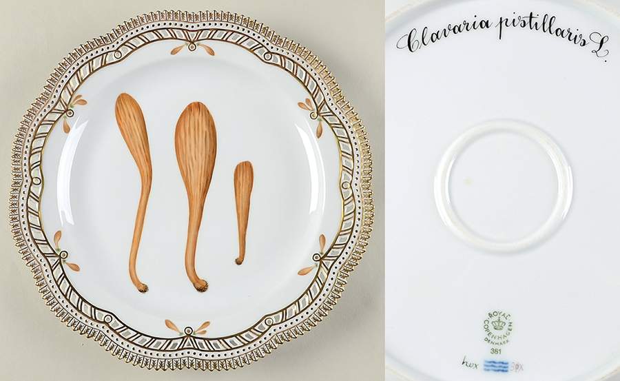 Flora Danica Fungi Collection 11" Round Platter w/Pierced Edge by Royal Copenhagen-1