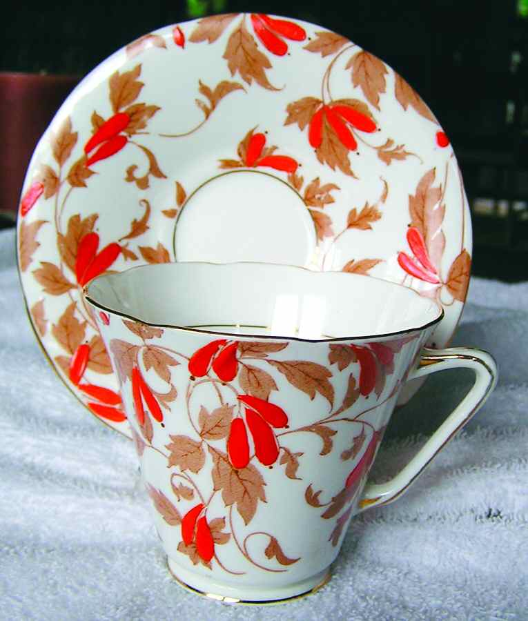 Ashley Red Footed Cup & Saucer Set by Royal Grafton-1
