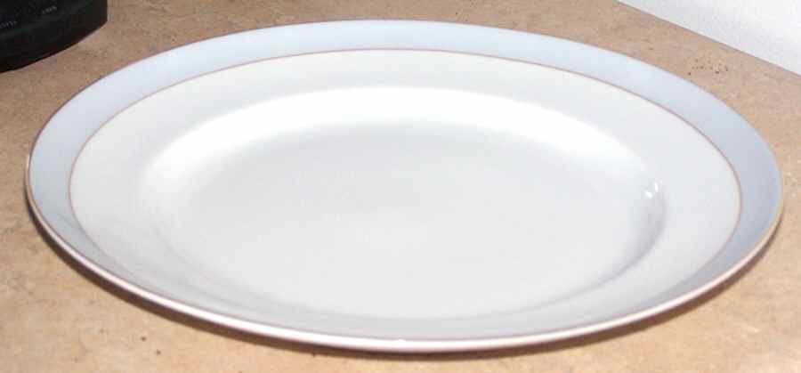 ROT261 Dinner Plate by Royal Tettau-1