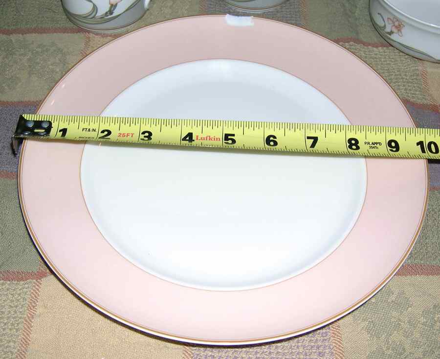 ROT264 Dinner Plate by Royal Tettau-1