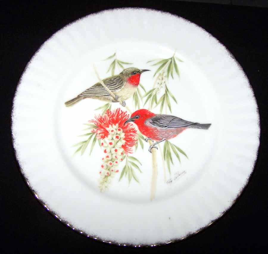 RVA68 Dinner Plate by Royal Vale-1