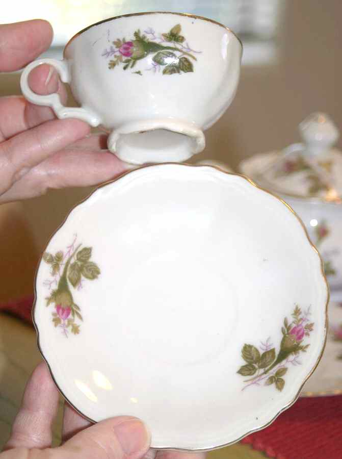 RBT6 Footed Cup & Saucer Set by Roberts-1