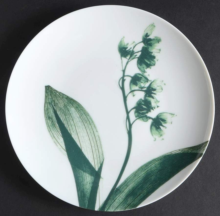 Contre Jour Salad/Dessert Plate by Raynaud-1
