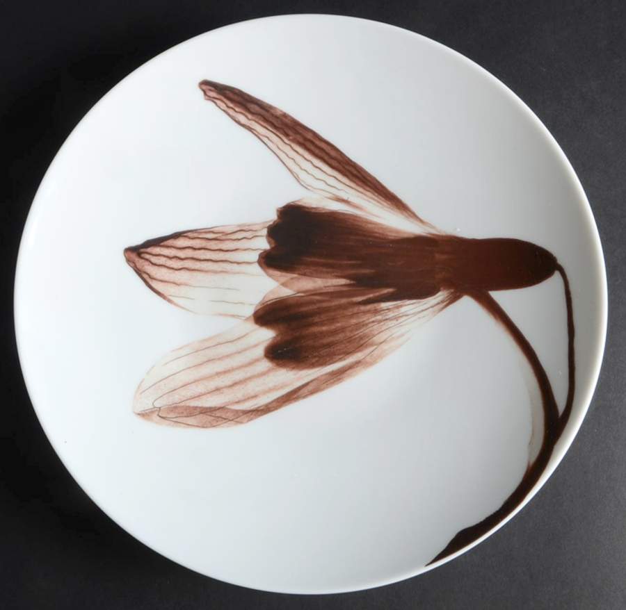 Contre Jour Dinner Plate by Raynaud-1