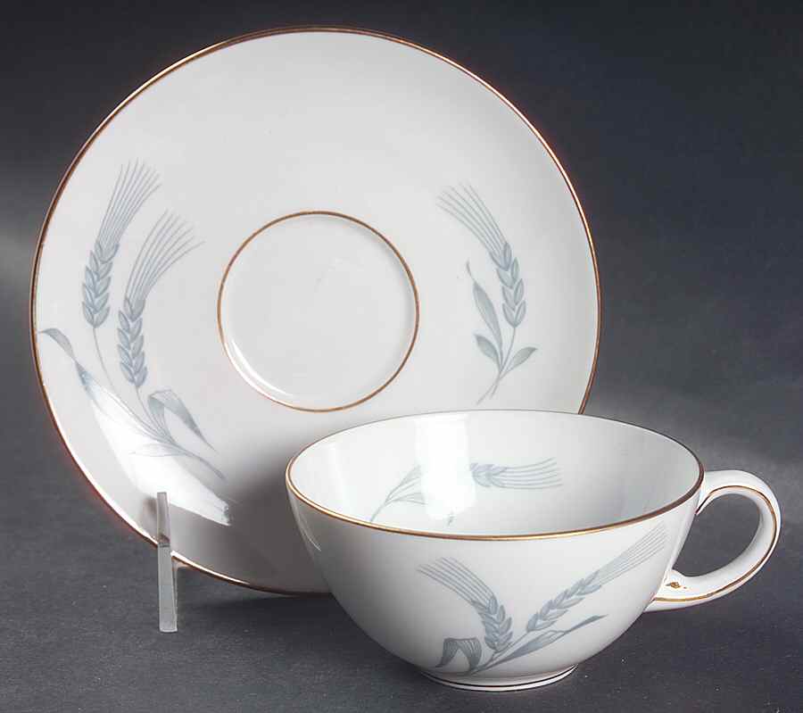 ROT268 Flat Cup & Saucer Set by Royal Tettau-1