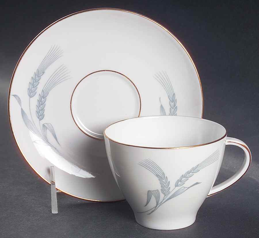 ROT268 Flat Cup & Saucer Set by Royal Tettau-1