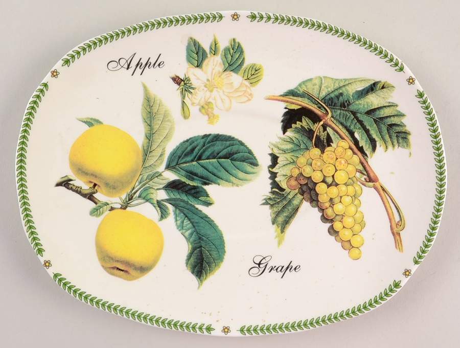 Botanical Fruit Underplate for Gravy Boat by Royal Traditions-1