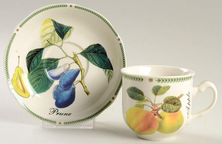 Botanical Fruit Flat Cup & Saucer Set by Royal Traditions-1