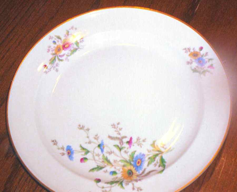 R1840 Dinner Plate by Rosenthal - Continental-1