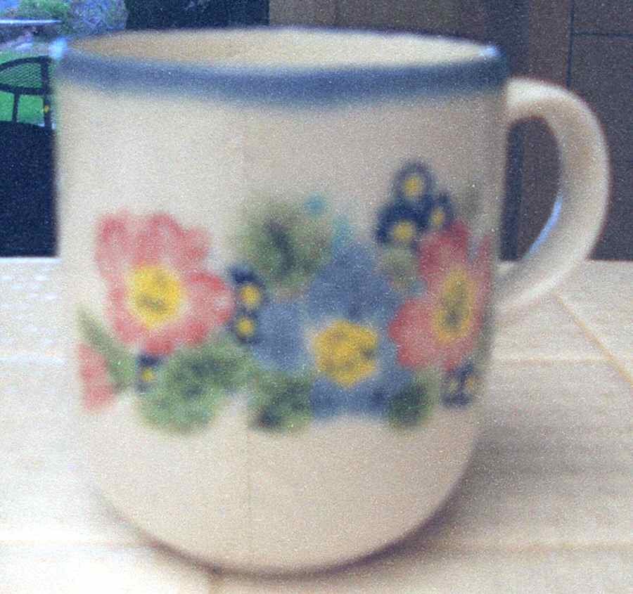 Highland Moor Mug by Royal Doulton-1