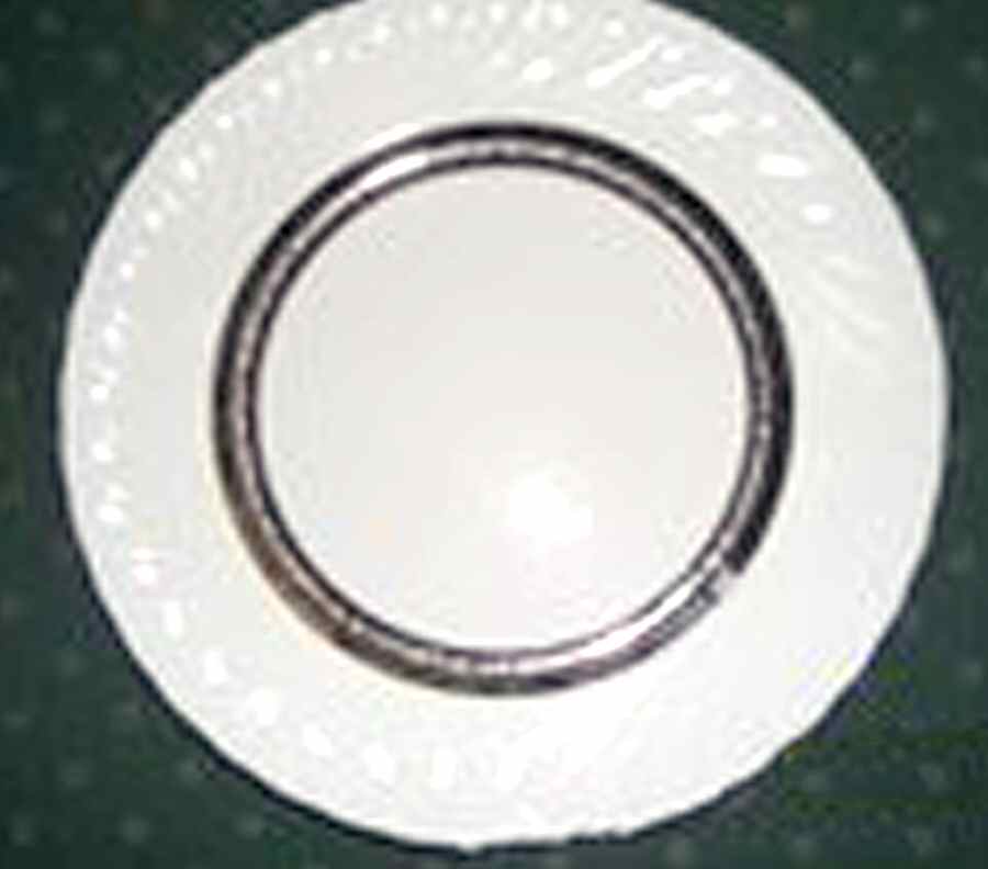 RYA19 Dinner Plate by Royal Chatham-1