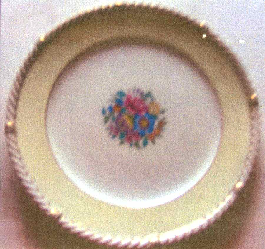 V672 Dinner Plate by Royal Cauldon-1