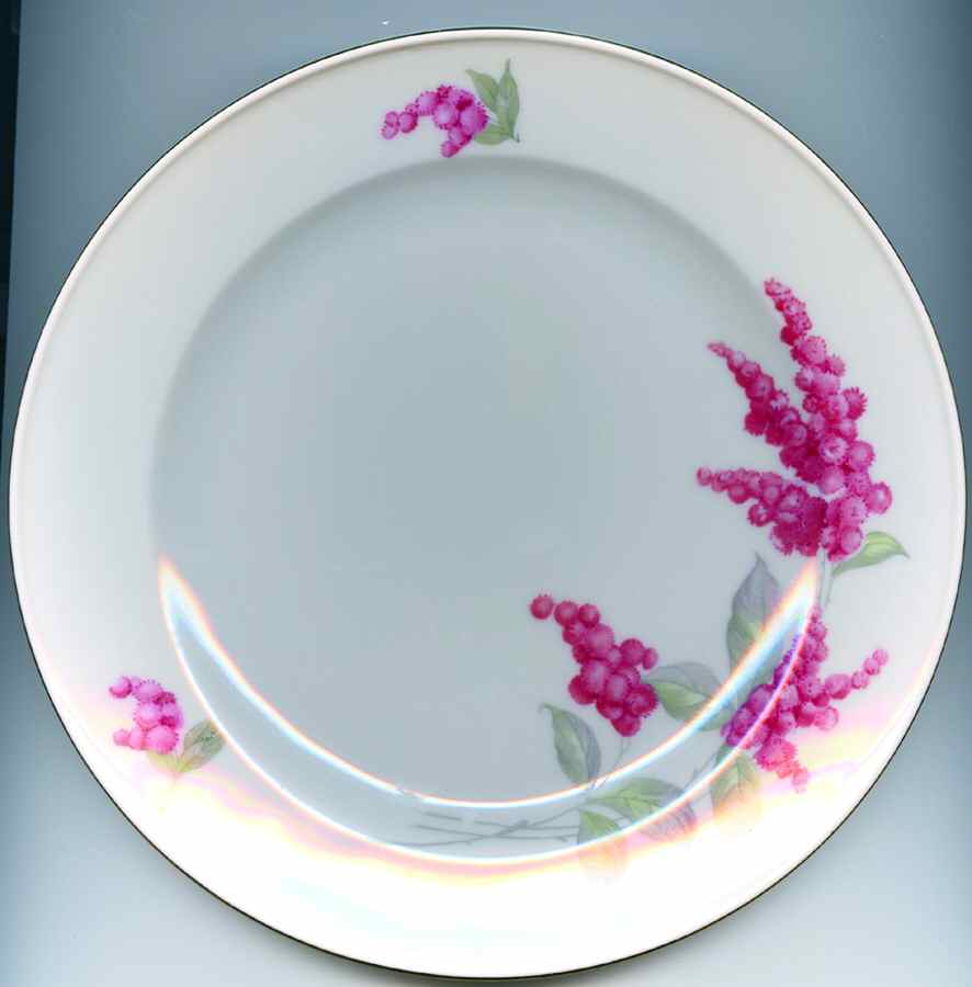 RHN8 Dinner Plate by Rhenania-1