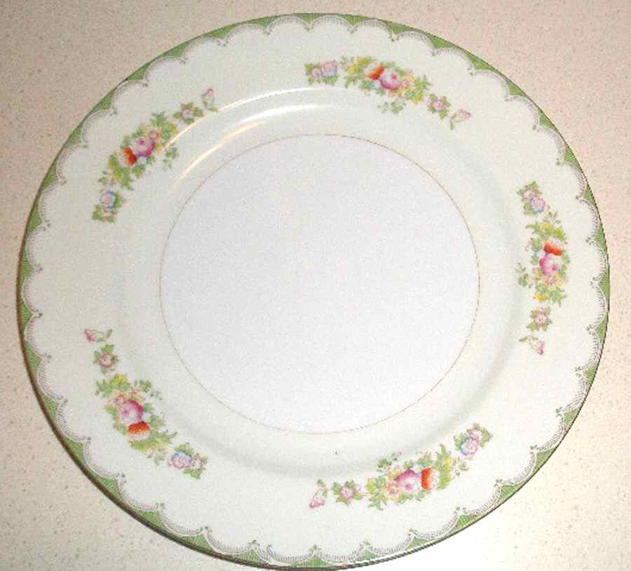 RNS22 Dinner Plate by Ransom (Japan)-1
