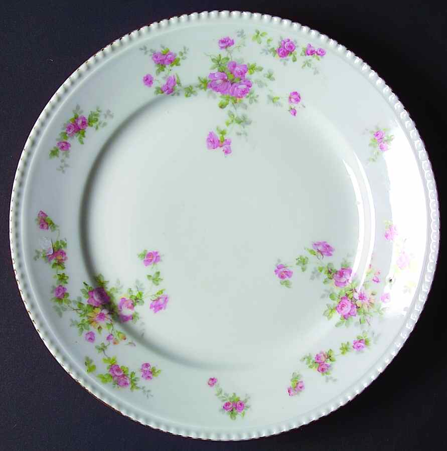 RSC67 (Embossed Edge) Luncheon Plate by Royal Schwarzburg-1