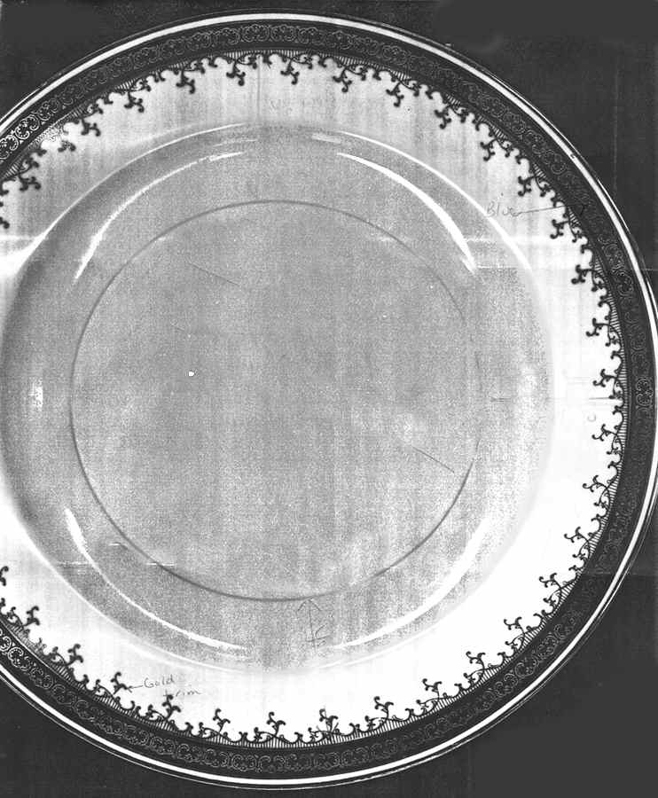 RNS23 Dinner Plate by Ransom (Japan)-1