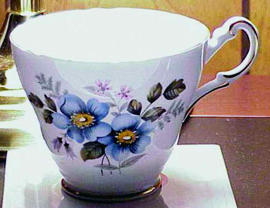 RE36 Footed Cup by Regency-1