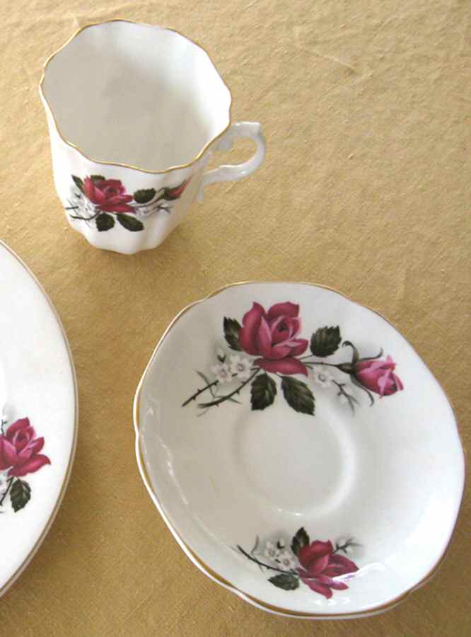 201 Footed Cup & Saucer Set by Royal Grafton-1