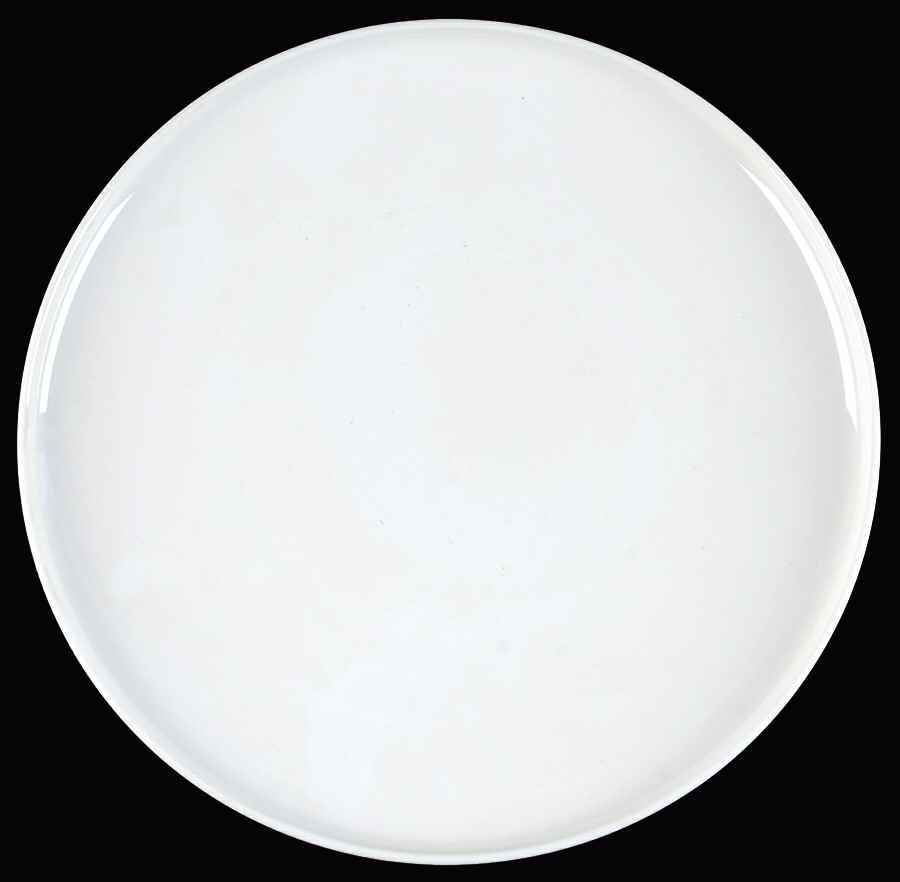 Everytime White Dinner Plate by Red Vanilla-1