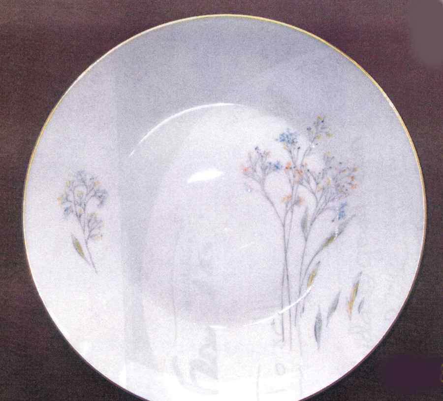 R1880 Dinner Plate by Rosenthal - Continental-1