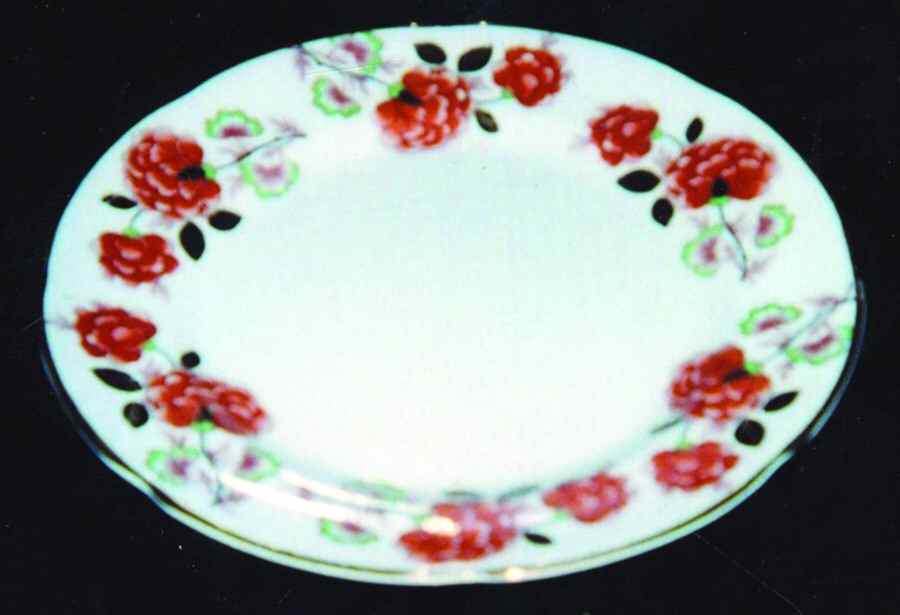 RTA41 Dinner Plate by Royal Tara-1