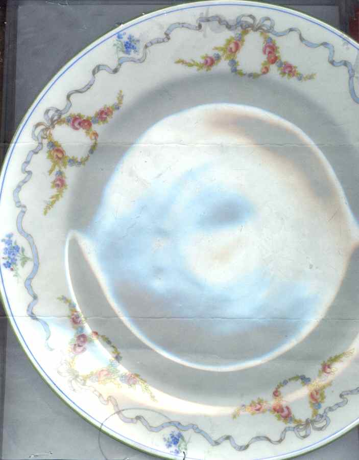 TIC176 Dinner Plate by Tiffany-1