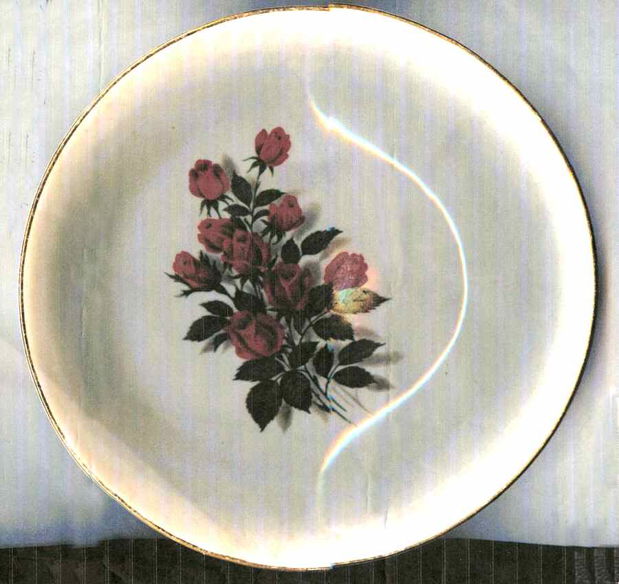 RNU2 Dinner Plate by Regency (USA)-1