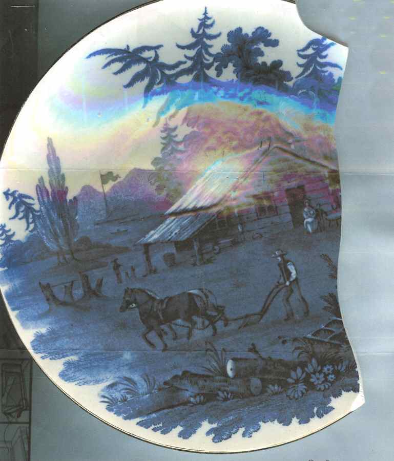 B1322 Dinner Plate by Royal Cauldon-1