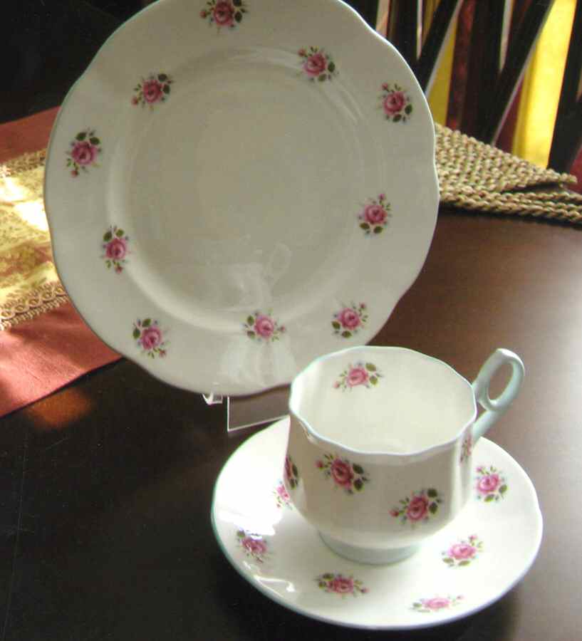RIA72 Dinner Plate by Rosina-Queens-1