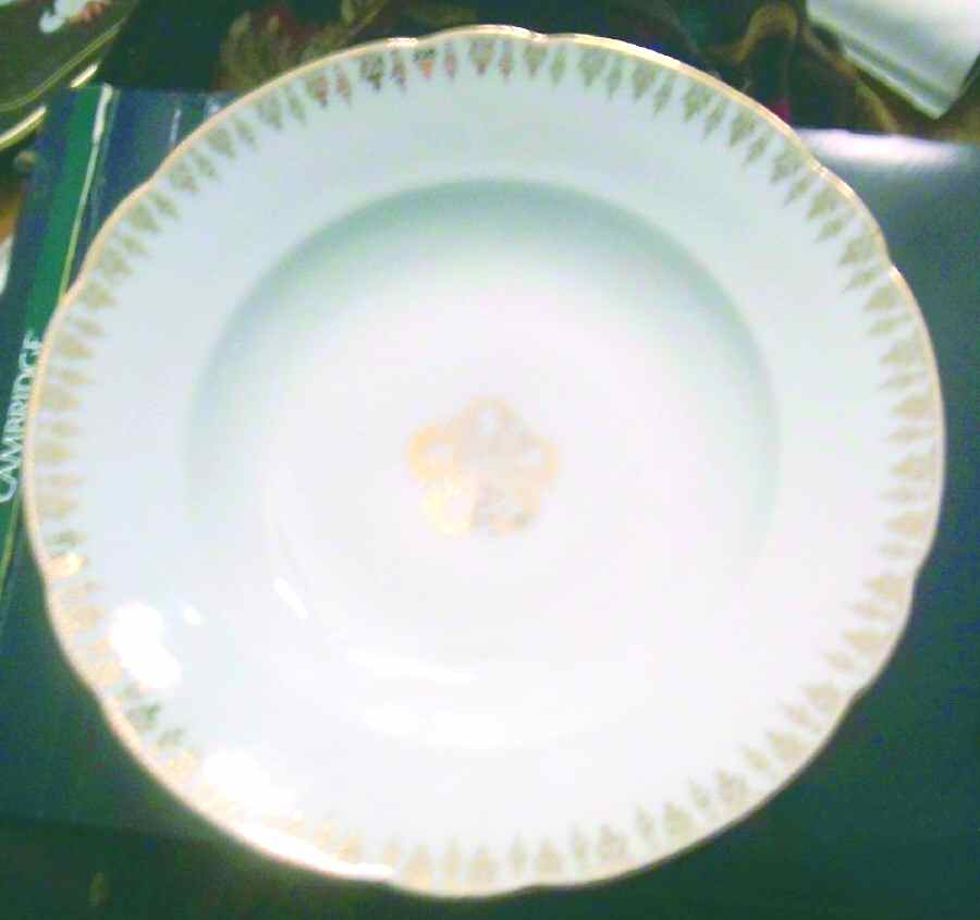RSC69 Dinner Plate by Royal Schwarzburg-1
