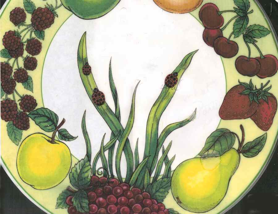 RLI5 Dinner Plate by Royal Limited-1