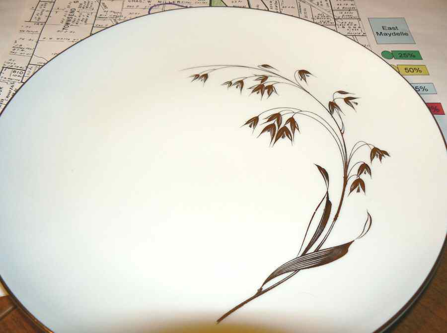 ROT273 Dinner Plate by Royal Tettau-1