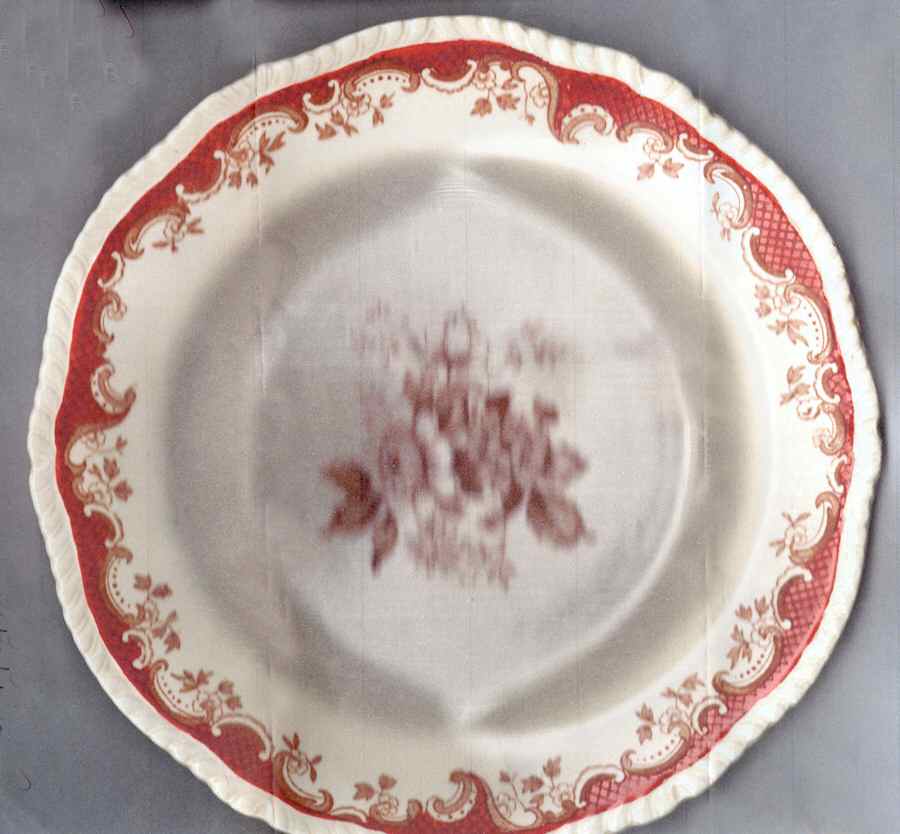 5-360 Dinner Plate by Ridgway (Ridgways)-1