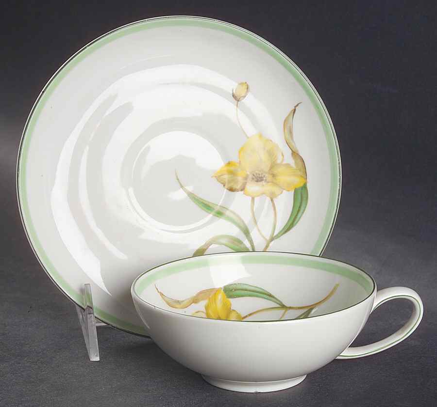 R1990 Flat Cup & Saucer Set by Rosenthal - Continental-1