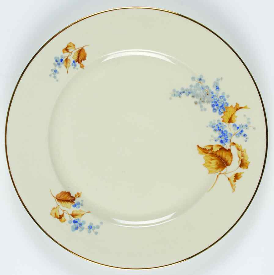 2009 Dinner Plate by Rosenthal - Continental-1