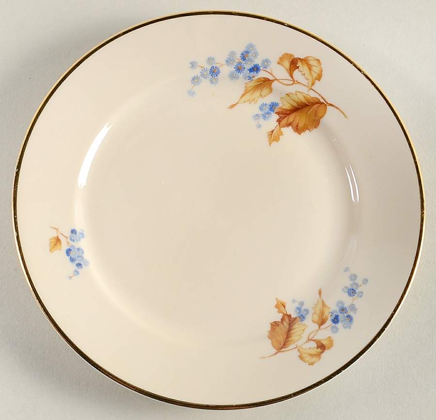2009 Bread & Butter Plate by Rosenthal - Continental-1