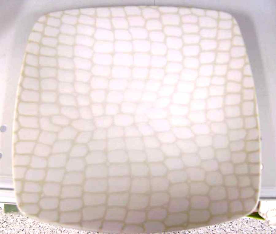 Slither Dinner Plate by Roscher & Co-1